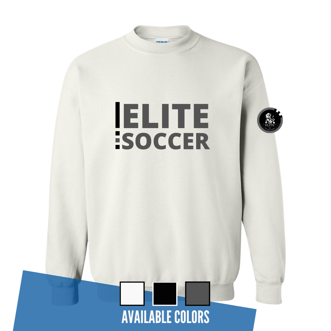 CREWNEWCK SWEATER - $35.00