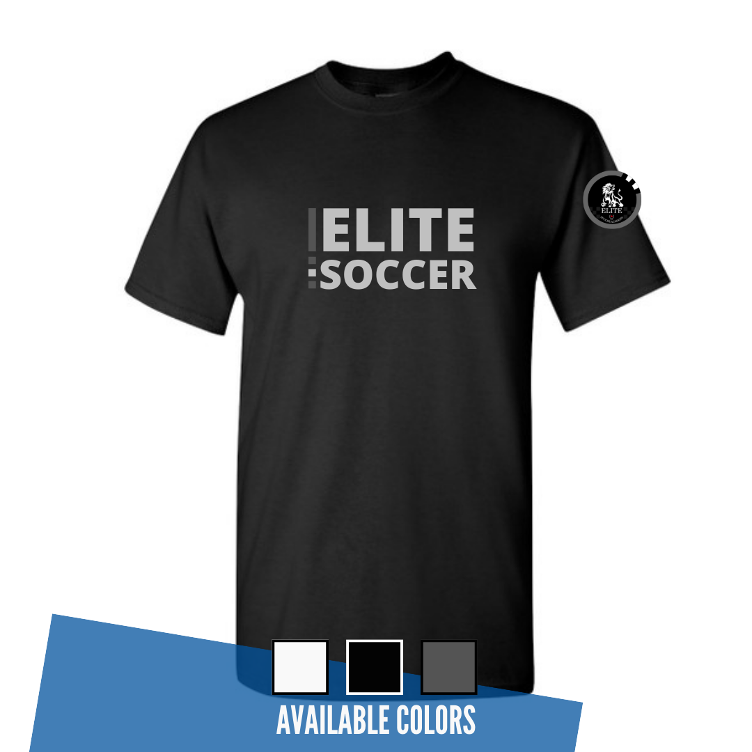 SHORT-SLEEVE T-SHIRT - $25.00
